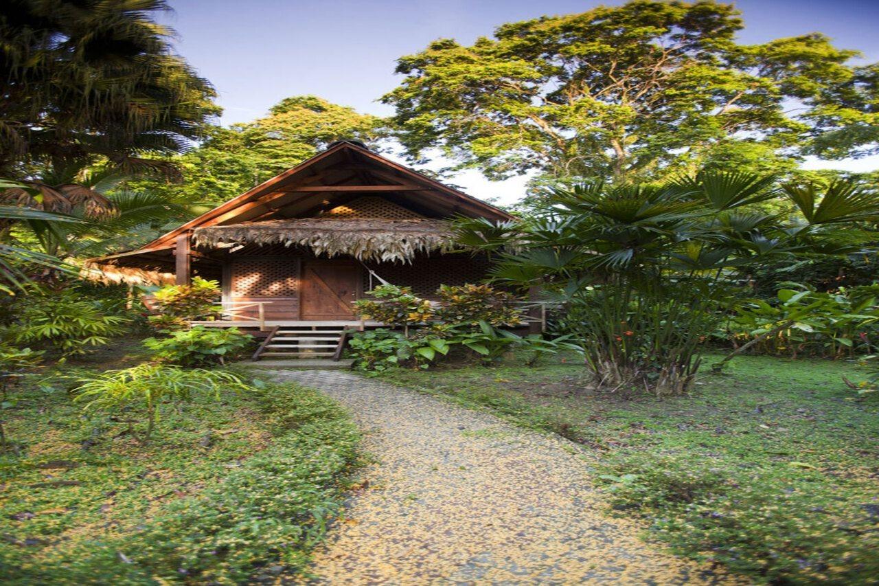 Azania Bungalows Puerto Viejo de Talamanca Zewnętrze zdjęcie
