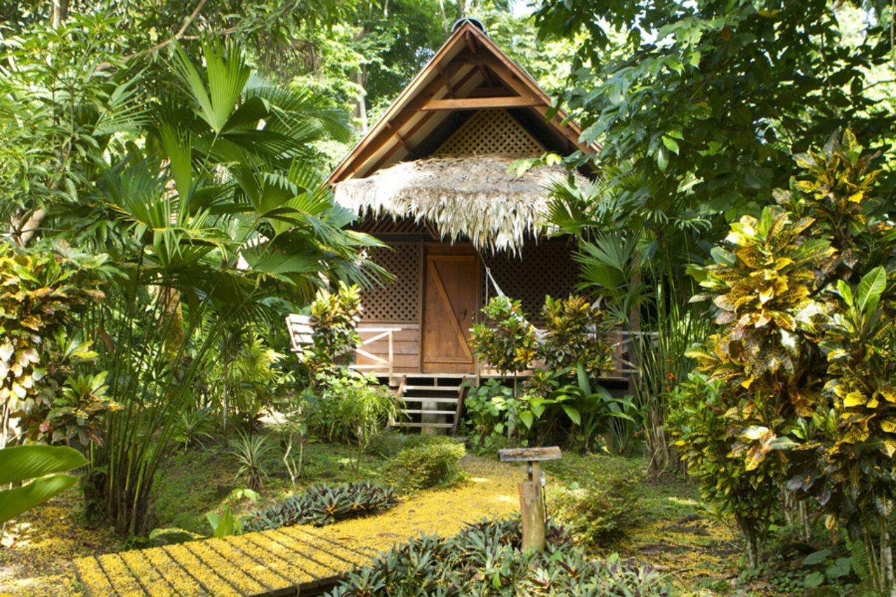 Azania Bungalows Puerto Viejo de Talamanca Zewnętrze zdjęcie