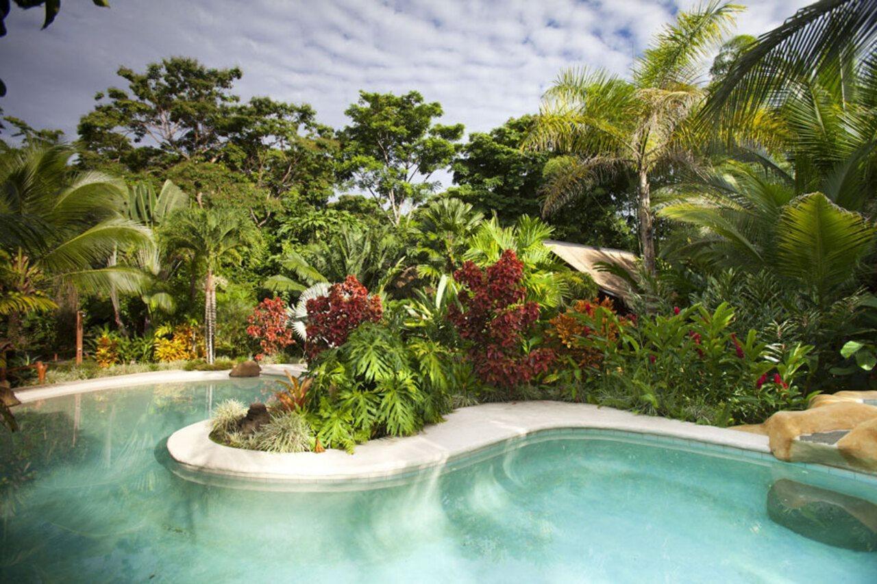 Azania Bungalows Puerto Viejo de Talamanca Zewnętrze zdjęcie