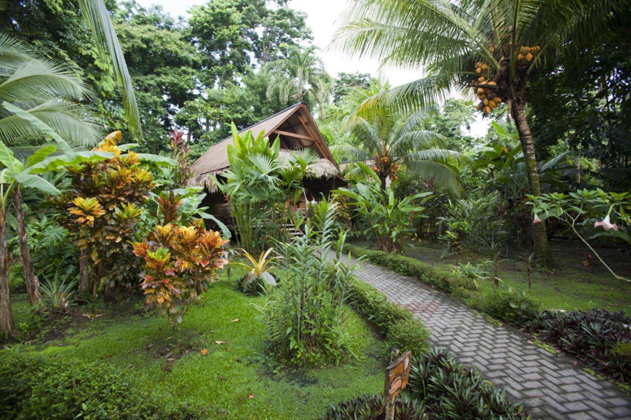Azania Bungalows Puerto Viejo de Talamanca Zewnętrze zdjęcie