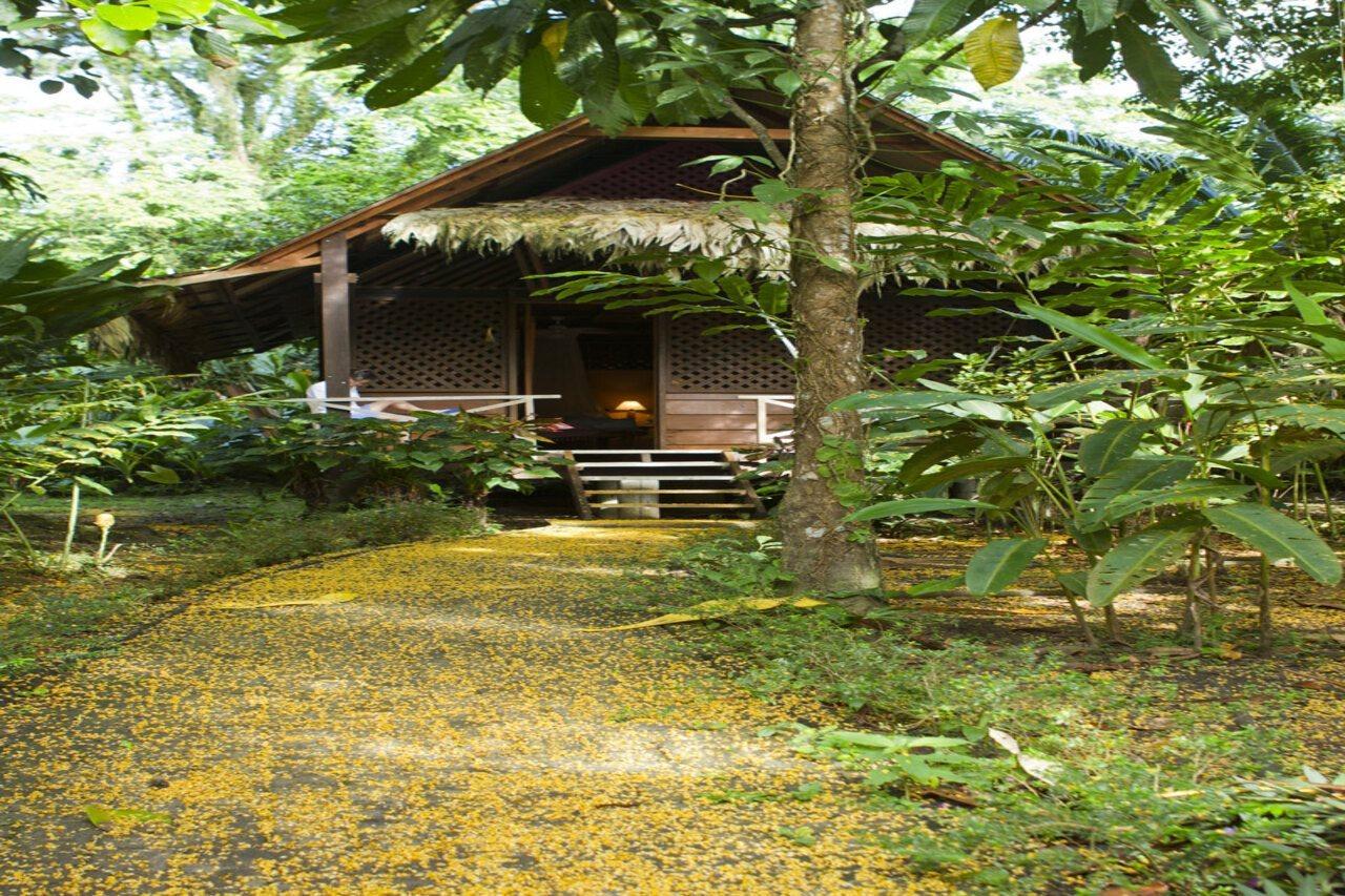 Azania Bungalows Puerto Viejo de Talamanca Zewnętrze zdjęcie