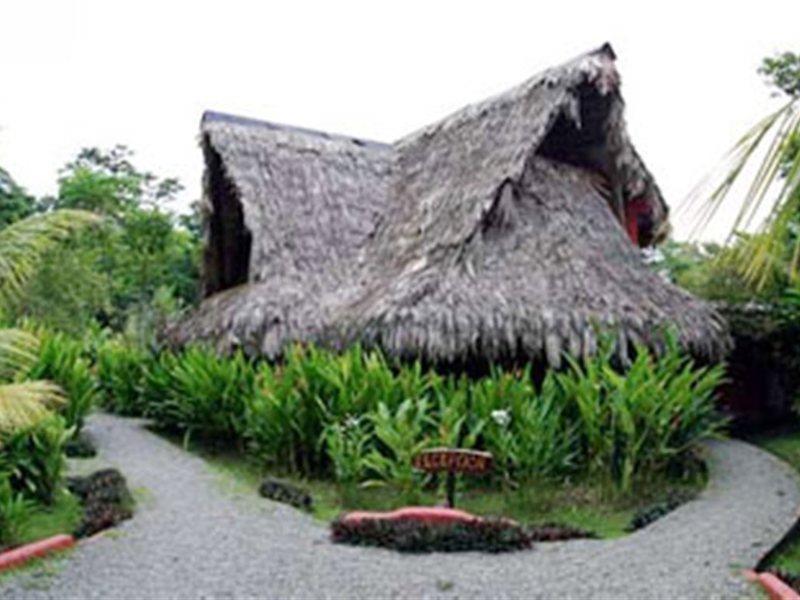 Azania Bungalows Puerto Viejo de Talamanca Zewnętrze zdjęcie